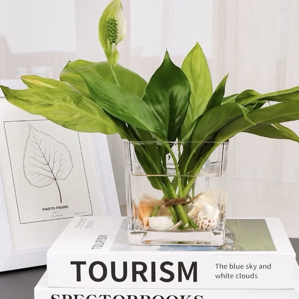 Set of 6 Clear Glass Square Cube Flower Vase 3.7in Modern Decorative